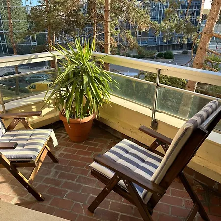 Elegant A * Сержи